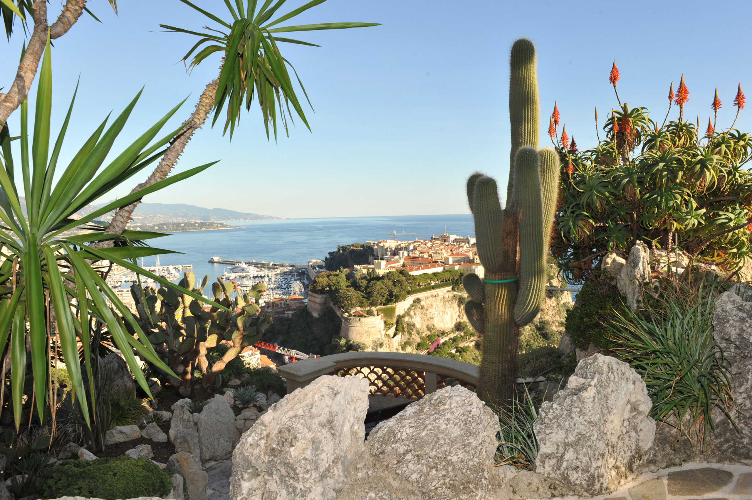 Monaco Now Le Jardin Exotique  plus grande rocaille  